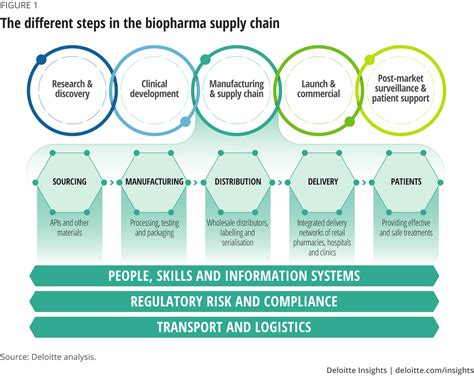 The Different Steps In The Biopharma Supply Chain Supply Chain