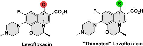 Figure From Design And Synthesis Of Thionated Levofloxacin Insights