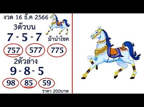 Thai Lottery Direct Set Thai Lottery Results Today