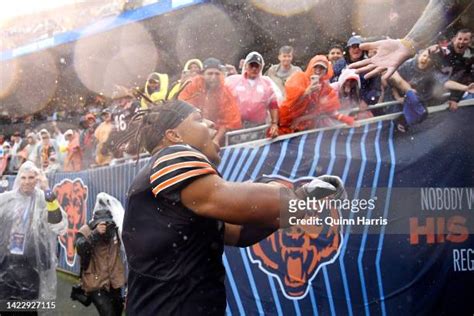 3,957 Chicago Bears Fans Stock Photos, High-Res Pictures, and Images ...