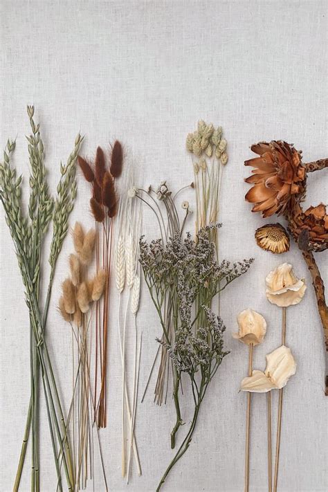 Diy Dried Flower Bouquet Honestly Wtf