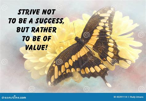 Butterfly quote stock photo. Image of coaching, self - 45391114