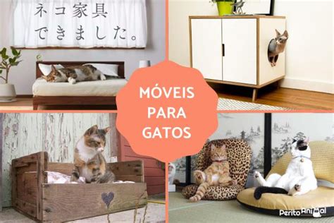 Móveis para GATOS 18 exemplos FOTOS