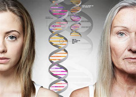 La Herencia Genética Cómo Los Caracteres Hereditarios Moldean Nuestra