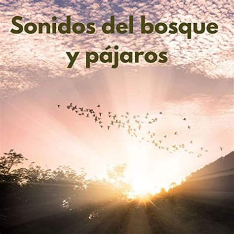 Play Sonidos del bosque y pájaros by Sonidos Del Bosque y Naturaleza