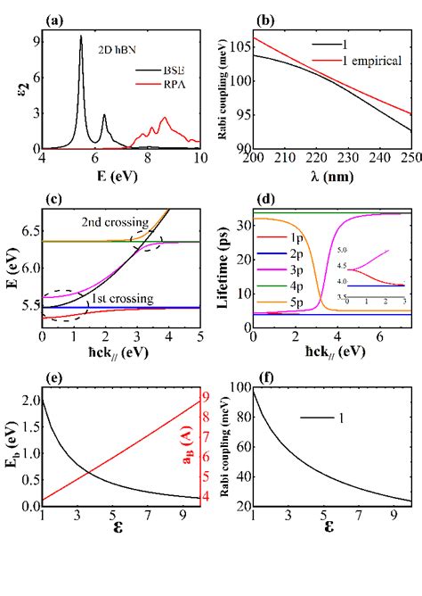 Exciton And Polariton Properties For Monolayer HBN Micrcavity A