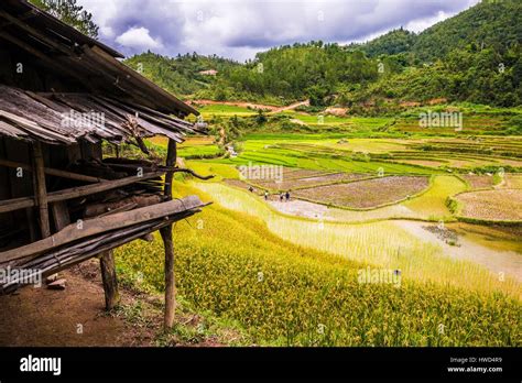 Vietnam Mountain Range Of Hoang Lien Son Mu Cang Chai Region Yen Bai