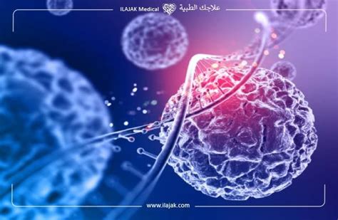 La Greffe De Cellules Souches En Turquie Ilajak M Dical