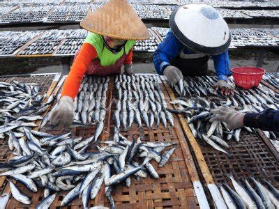 Harga Ikan Asin Naik Antara Foto