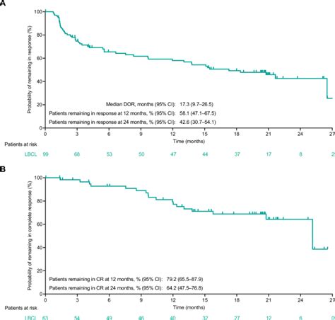 Epcoritamab In Relapsedrefractory Large B Cell Lymphoma 2 Year Follow