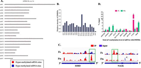 Distribution Of Differentially Methylated M A Sites Dmmss