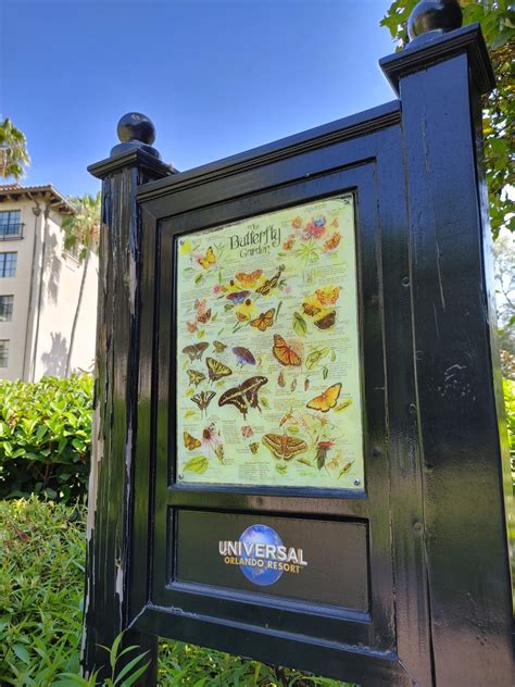 Universal Studios - HARD ROCK HOTEL ⋆ malarkey