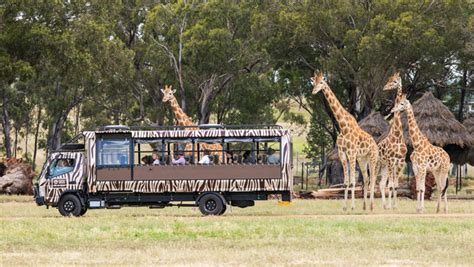 Visitor Information - Dubbo | Taronga Conservation Society Australia