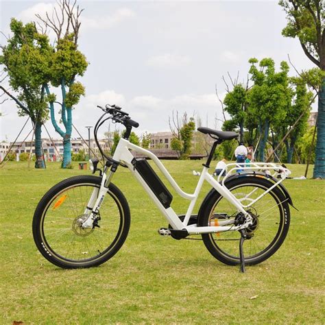 Hot Sale Lohas Or OEM Mountain City Bafang Electric Bike With CE