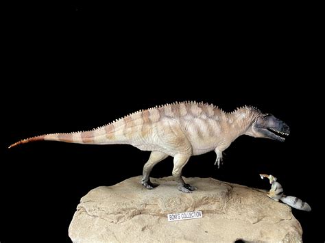 Giganotosaurus Vs Carcharodontosaurus Vs Acrocanthosaurus