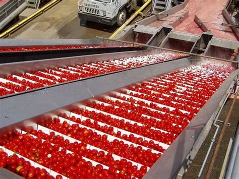 Automatic Tomato Processing Plant At Best Price In New Delhi By Ylem