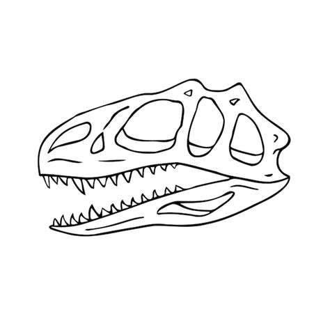 Premium Vector Vector Hand Drawn Tyrannosaurus Dinosaur Skull