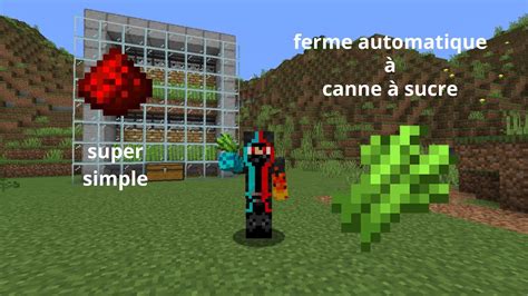 Tuto Ferme Canne Sucre Automatique Youtube