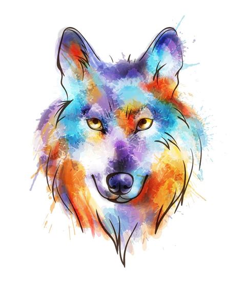 Colorful Watercolor Wolf S Head Stock Vector Illustration Of Portrait