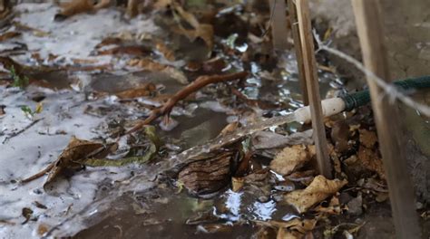 Tamaulipas Van 30 Sanciones A Empresas Desperdiciadoras De Agua En