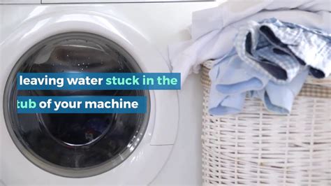 Washing Machine Isnt Spinning Or Draining Youtube