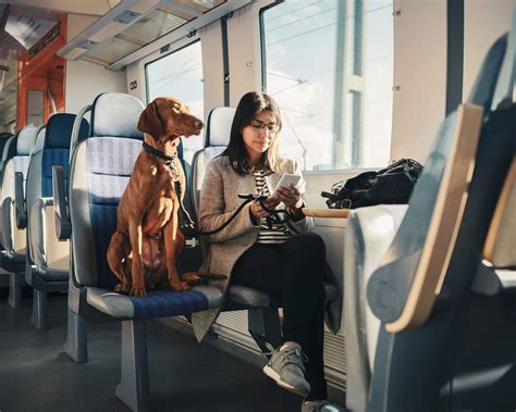 Malpensa, Linate et Bergame : guide des aéroports de Milan | KAYAK