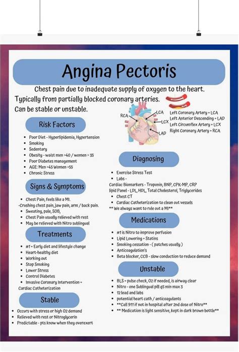 The Basics Angina Pectoris Poster Cardiology Student Study