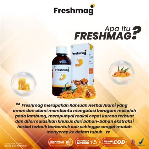 Jual Paket Box Freshmag Original Madu Berkhasiat Tanpa Kandungan