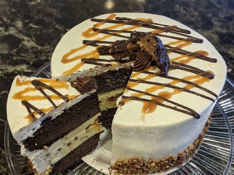 Turtle Ice Cream Cake Orland Park Bakery Orders