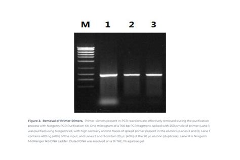 Norgen Biotek™ Pcr Purification Kit 2 X 96 Well Plates