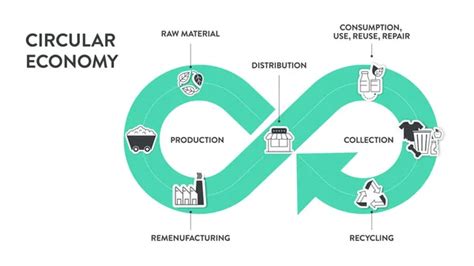 Diagrama Infográfico De Economía Circular 6 Pasos Para Analizar Como