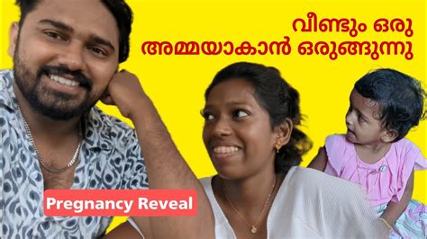 അനു വീണ്ടും ഒരു അമ്മയാകാൻ ഒരുങ്ങുന്നു Vlog240 Pregnancy Reveal