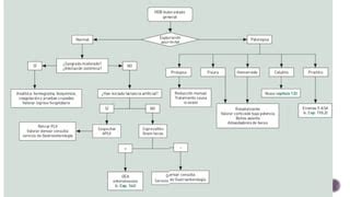 Hemorragia Digestiva Alta Y Baja En Salud Pptx Descarga Gratuita