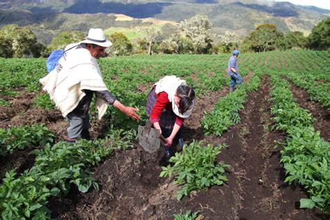 El Plan Nacional de Desarrollo y su apuesta por la reindustrialización