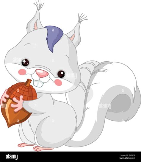 Fun Zoo White Squirrel Stock Vector Image And Art Alamy