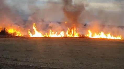 Incendio Intorno A Castel Del Monte Quasi 24 Ore Di Lavoro Per Domare