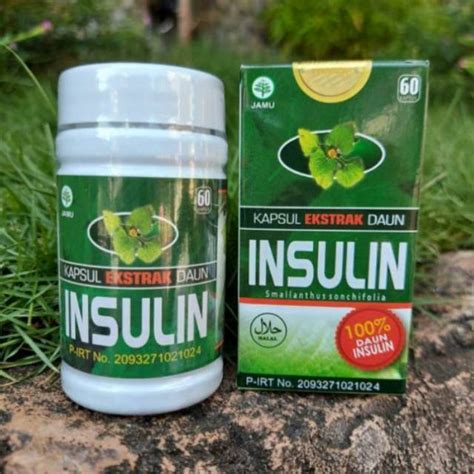 Jual Daun Insulin Kapsul Daun Yakon Untuk Mengatasi Diabetes Shopee