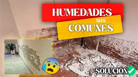 Causas y Soluciones de las HUMEDADES en el Hogar Problemas MÁS COMUNES