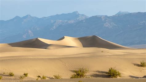 Desert Hills Light Brown Sand Bushes Mountains Background Hd Nature