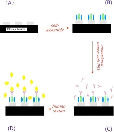 A Schematic Representation Of The Lspr Based Nanobiosensor Depicting