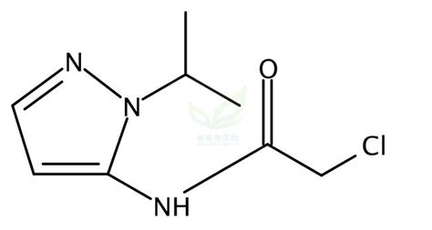 2 氯 N 1 丙 2 基 1H 吡唑 5 基 乙酰胺 2 chloro N 1 propan 2 yl 1H pyrazol 5 yl