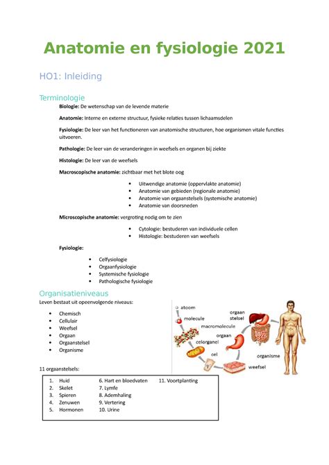 Anatomie En Fysiologie H1 Inleiding 2021 2022 Anatomie En Fysiologie