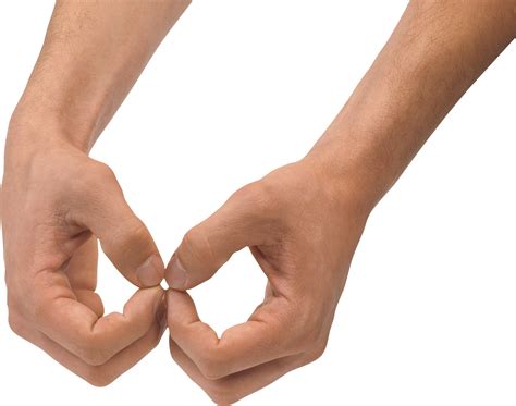 Collection Of Png Hands Holding Pluspng