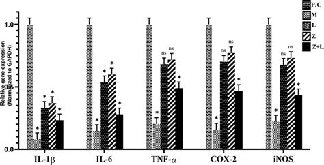 Frontiers Investigating The Effects Of Combined Treatment Of