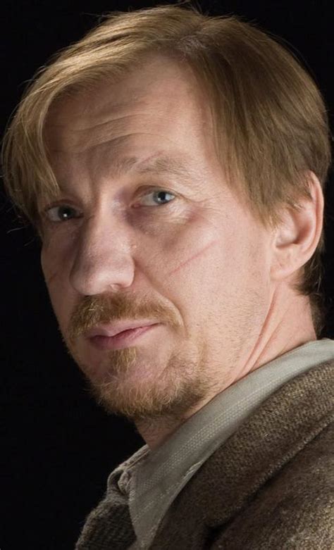 Image - Remus Lupin profile.jpg - Harry Potter Wiki - Wikia