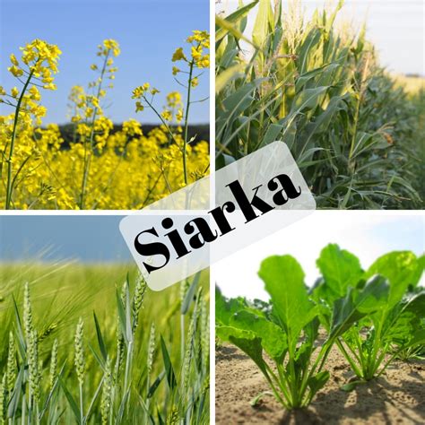 Siarka - Blending