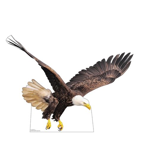 Flying Bald Eagle Life Size Cardboard Cutout