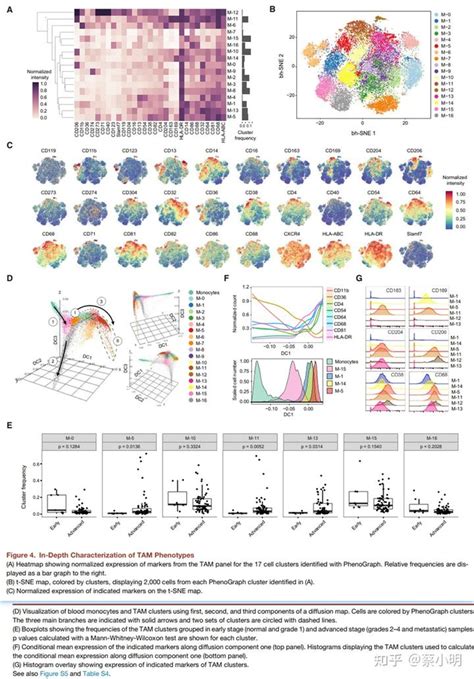 Nid An Immune Atlas Of Clear Cell Renal Cell Carcinoma