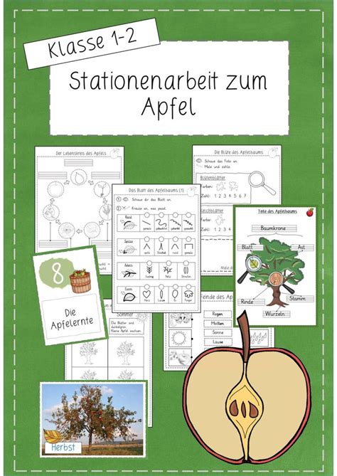 Stationenlernen Der Apfel Klasse 1 2 Unterrichtsmaterial Im Fach