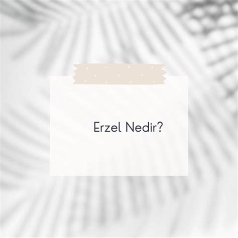 Erzel Nedir Ne Demek Z T Anlam E Anlam